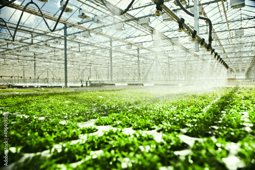 greenhouses