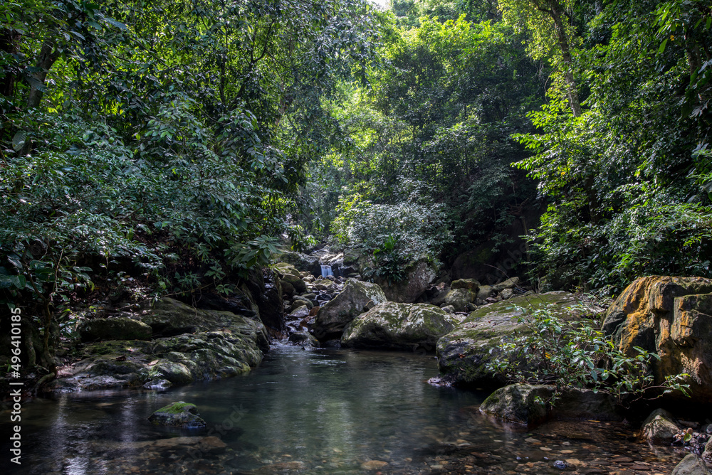 Langzeitbelichtung fließendes Wasser Wildbach im kolumbianischen Amazonas Regenwald. Langzeitbelichtung fließendes Wasser Wildbach im kolumbianischen Amazonas Regenwald.