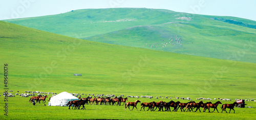 Herdsmen of nature grassland photo