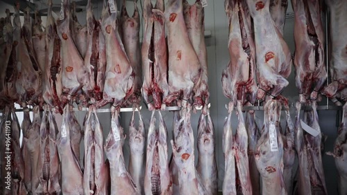 Meat industry. View of slaughtered lamb corpses, hanging in the refrigerating deposit, ready for sale.