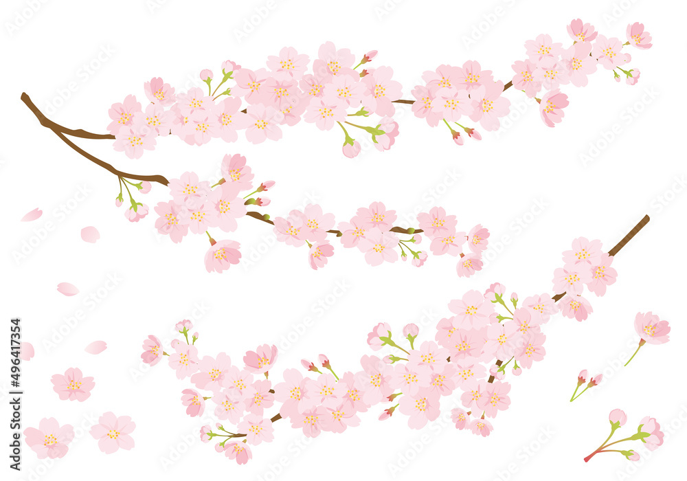 桜のデザインパーツセット