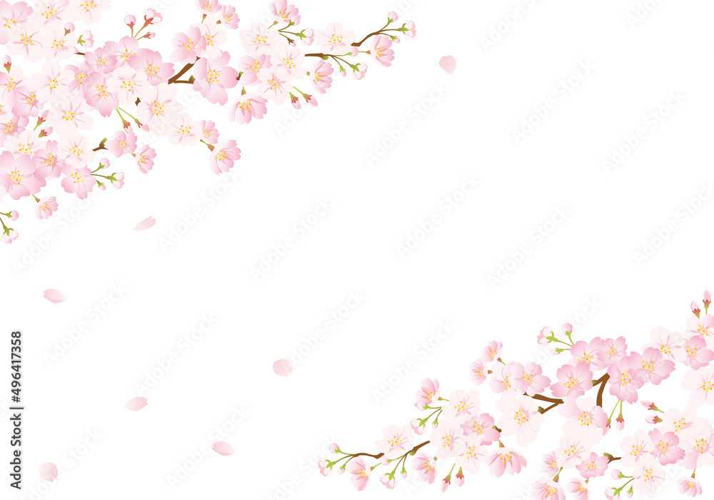 桜の背景 グラデーション 桜の背景 グラデーション