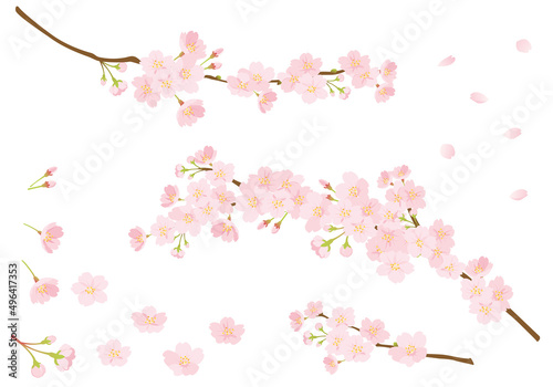 桜のデザインパーツセット © matsukiyo