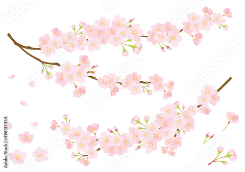 桜のデザインパーツセット