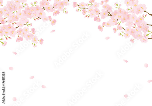 桜の背景