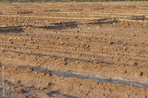 water irrigated field background photo