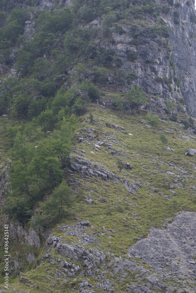 resceto ALPI APUANE resceto ALPI APUANE