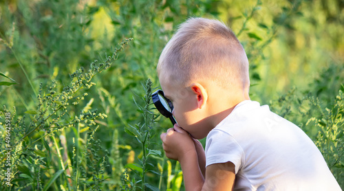 Young boy exploring nature in the meadow with a magnifying glass looking at flowers. Curious children in the woods.