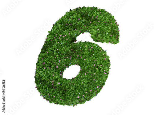 3d rendering of Alphabet number 6 made of hydrangea flower. high resolution image in isolated white background