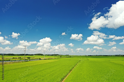 千葉県我孫子市の水田地帯の空撮写真 © dreamnikon