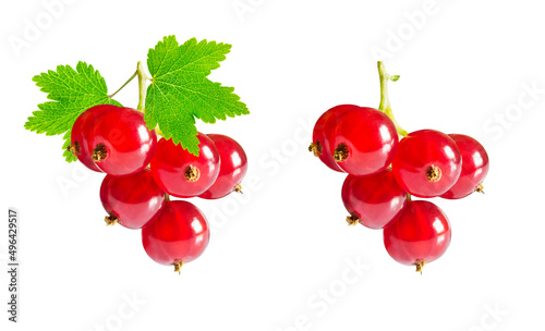 Red currant with leaf sprigs isolated over white background photo