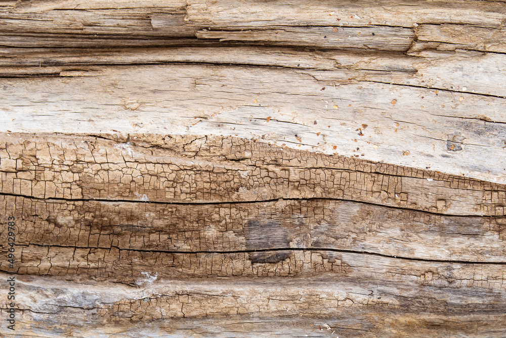 The texture of old wood with natural patterns during prolonged exposure to the open air. The background is a natural wood texture with scratches and cracks. Dark grunge background with wood texture The texture of old wood with natural patterns during prolonged exposure to the open air. The background is a natural wood texture with scratches and cracks. Dark grunge background with wood texture