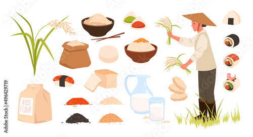 Raw and cooked rice set vector illustration. Cartoon products, ingredients and meal collection of sushi, mochi rice cake, plants from plantation and flour isolated on white. Agriculture concept