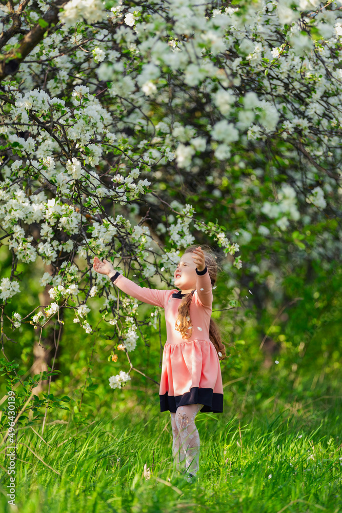 little girl walks through a blooming apple orchard little girl walks through a blooming apple orchard