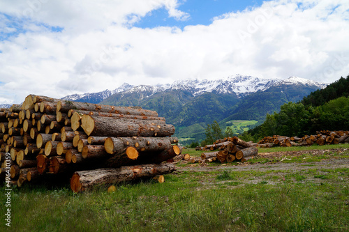 Alpine panorama with timber and snowy mountains in the background in South Tyrol (Parcines, Italy) photo