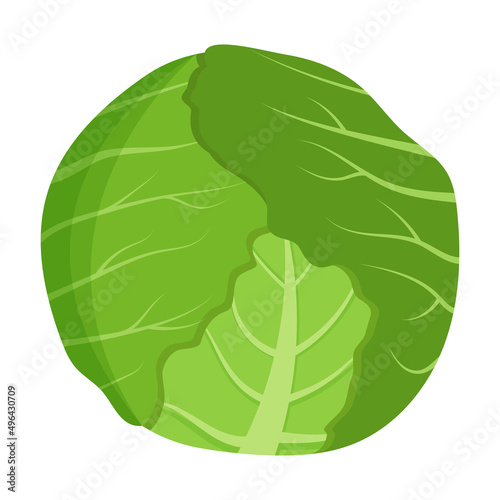 Fotótapéta Whole green cabbage isolated on background