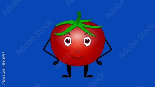 Cartoon tomato talking loop with alpha channel. Vegetable animation on a transparent background.