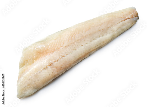 fresh raw zander filet cut photo