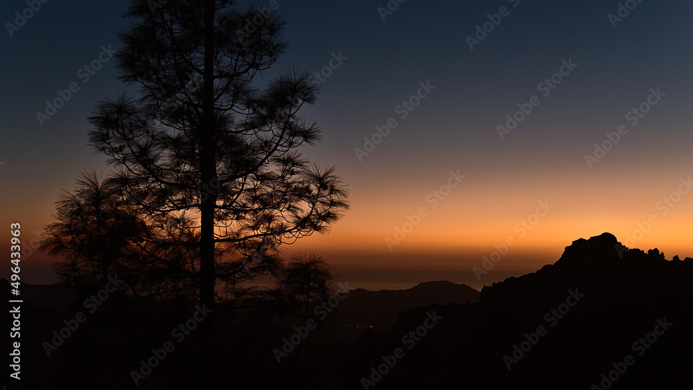 Stunning view over the mountains of island Gran Canaria, Canary Islands, Spain after sunset with colorful dramatic sky and the silhouettes of tree.