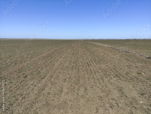 plowed field in autumn
