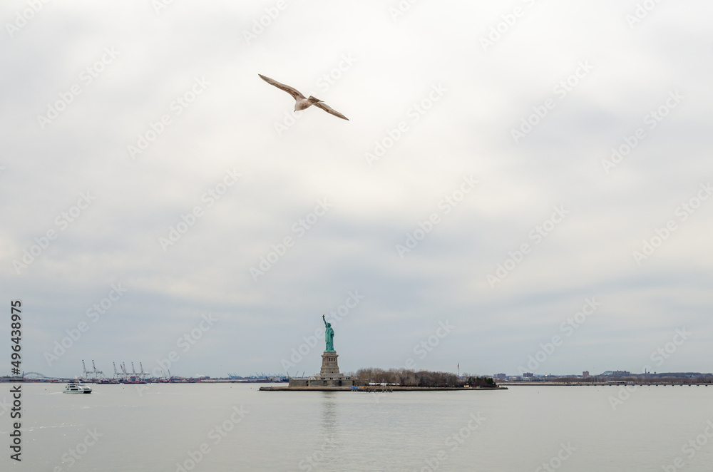 Seagull flying in front of Statue of Liberty, view from Staten island ferry, New York City, during winter day with overcast, horizontal