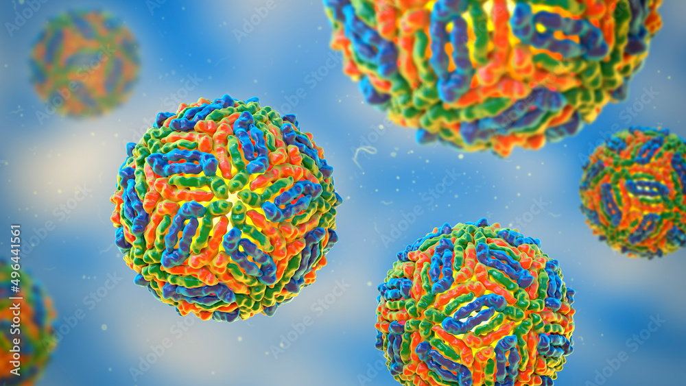 West Nile virus, WNV, 3D illustration