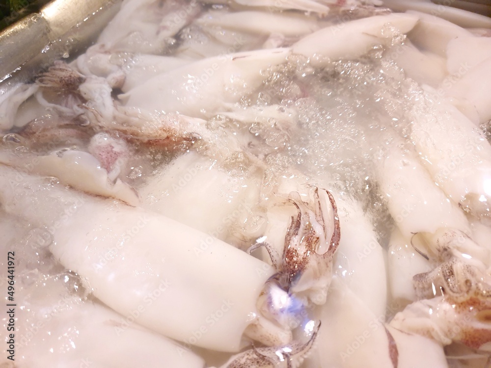 Top view of fresh squid on ice for sale in the fish market at Thailand, seafood on ice, Squid abstract background, Raw sea Cuttlefish for sale at seafood market use for cook, head splendid Top view of fresh squid on ice for sale in the fish market at Thailand, seafood on ice, Squid abstract background, Raw sea Cuttlefish for sale at seafood market use for cook, head splendid