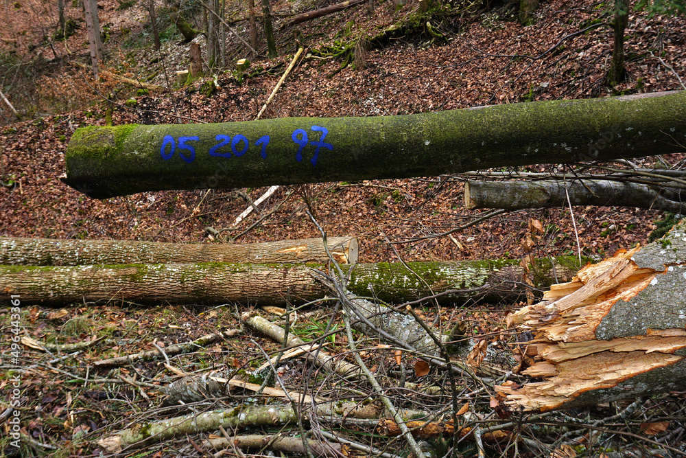 Markierung an Holzpolter zum Verkauf
