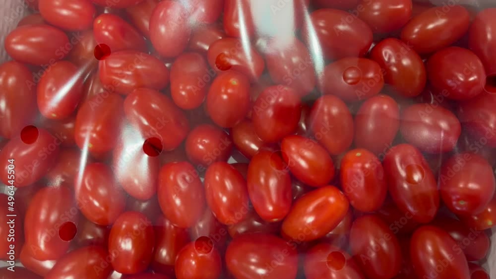 tomatoes under transparent film counter in the market healthy meal food diet snack on the table copy space food background rustic top view keto or paleo diet veggie vegan or vegetarian food tomatoes under transparent film counter in the market healthy meal food diet snack on the table copy space food background rustic top view keto or paleo diet veggie vegan or vegetarian food