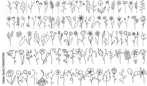 Black outline wildflowers clipart, Vector flowers silhouettes big bundle, Flowers illustration set