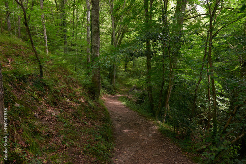 A mountain road surrounded by lush vegetation