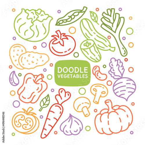 A set of doodle elements vegetableswith leaves. Diet, healthy food, vegetarianism, vegan. Restaurant menu.