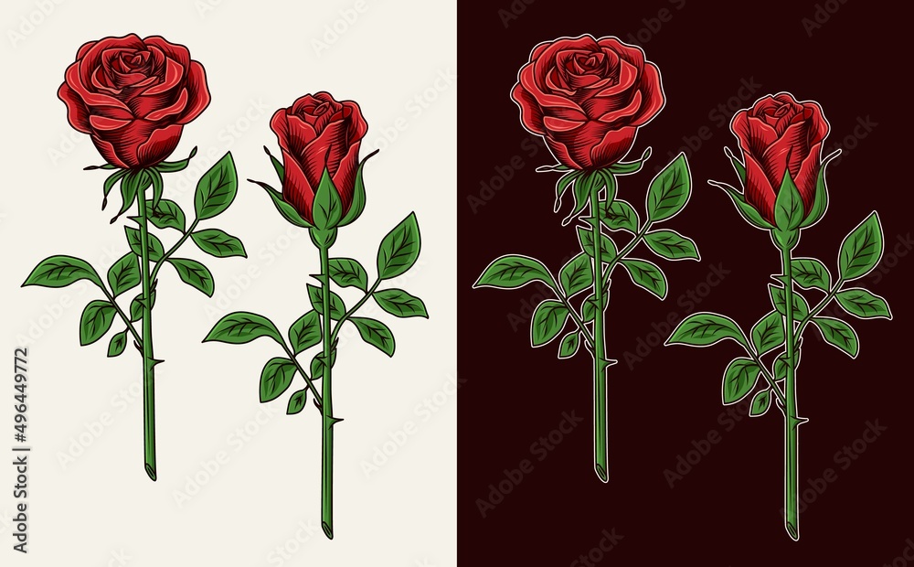 Clip art with lush blooming red roses with stems. Engraving vintage ...