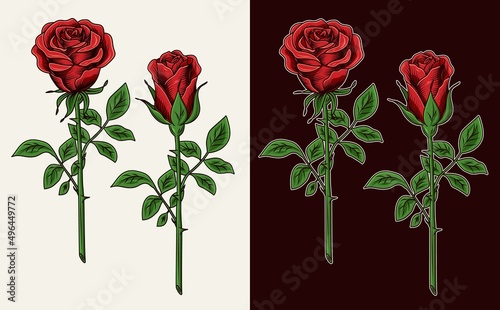 Clip art with lush blooming red roses with stems. Engraving vintage style. Isolated vector illustration