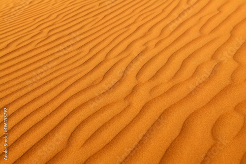 Sand ripples in the desert