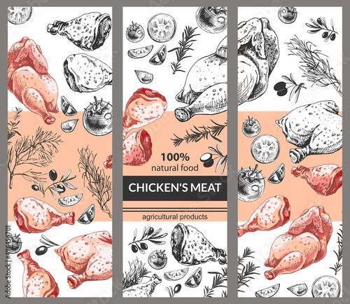 514_chicken meat three options for designing the background of chicken meat, graphic images of a leg, thigh, a black and white sketch and multi-colored parts of a poultry carcass