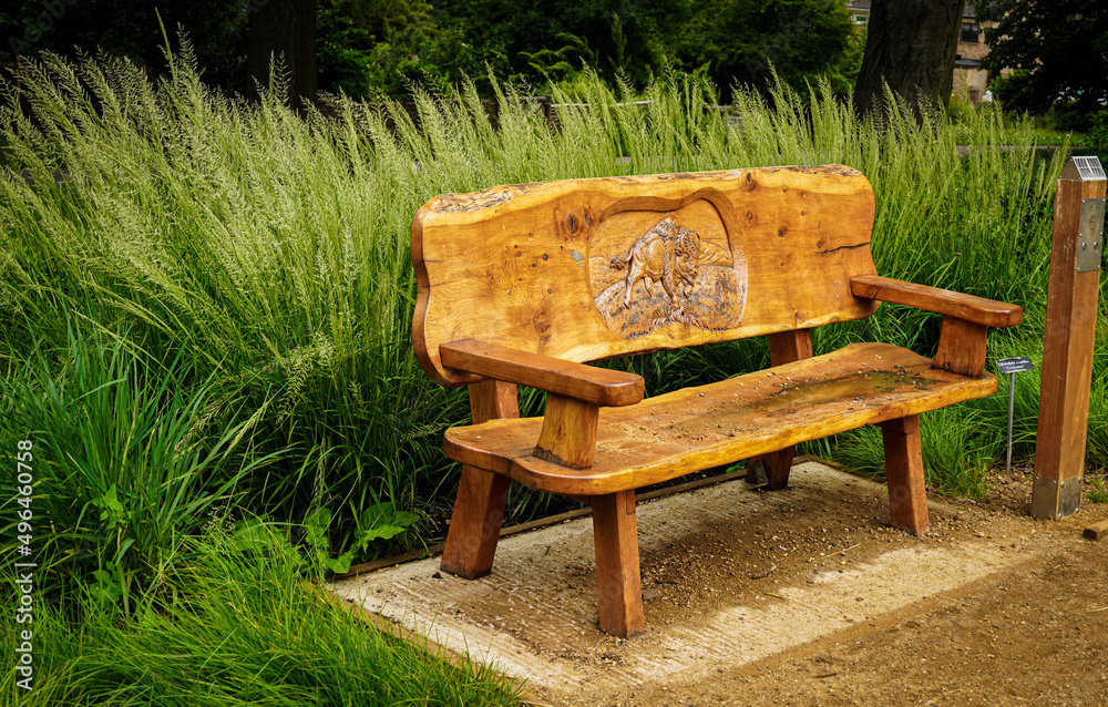 wooden chair in the garden wooden chair in the garden