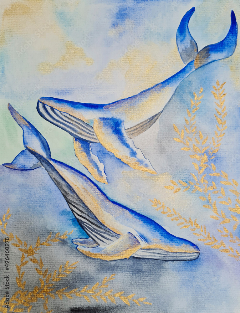 two whales living in the sea and ocean depths a marine animal ,a huge ...