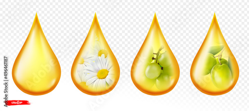 Oil drop isolated on transparent background. Realistic vector illustration of chamomile oil drop. Grape and olive oil