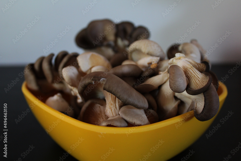 De belles pleurotes au menu De belles pleurotes au menu