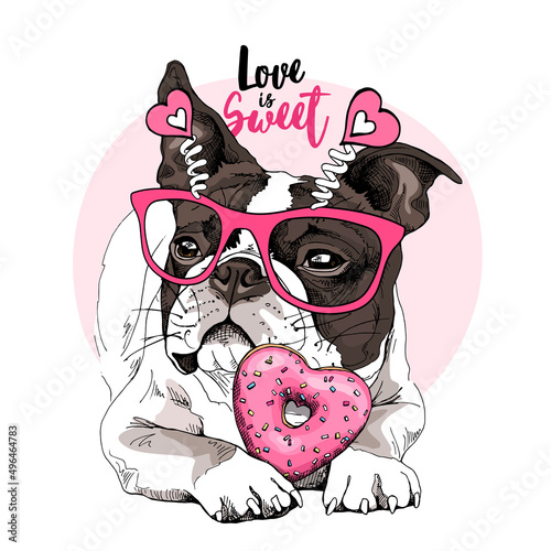 Card of a Valentine's Day. Chilling funny Boston Terrier dog in the pink glasses with hearts and with the donut. Humor card, t-shirt composition, hand drawn style print. Vector illustration.
