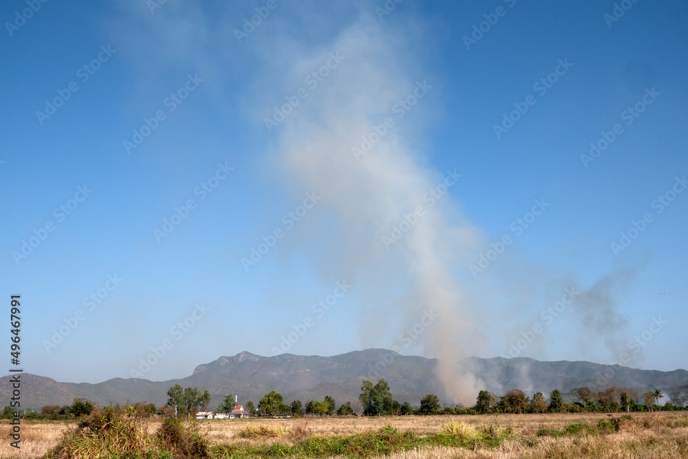 Burning straw after harvest in rice field. Burning straw after harvest in rice field.