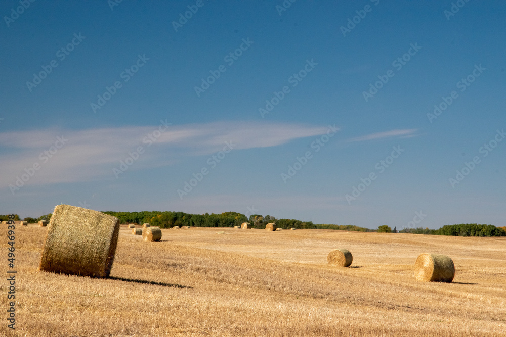 Newly harvested fields in the rural municipality of MacNutt, Saskatchewan, September 16, 2020.