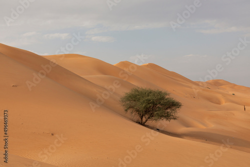 Badiyah desert in Oman with beautiful clouds
 photo