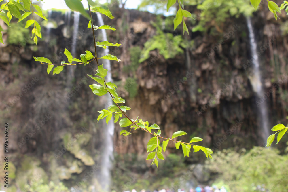 Autumn landscape in Salalah witch located in Sultanate of Oman Autumn landscape in Salalah witch located in Sultanate of Oman