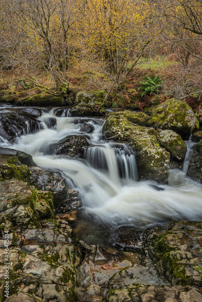 Stunning vibrant landscape image of Aira Force Upper Falls in Lake District during colorful Autumn showing