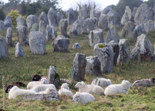 Les Alignements de Carnac photo