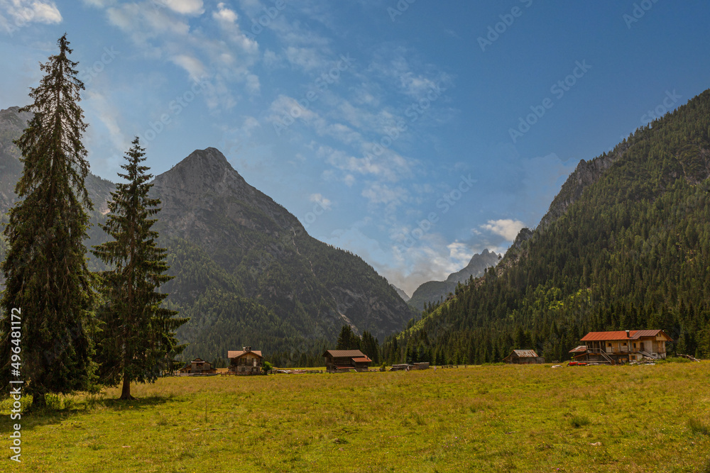 Typical alpine pastures