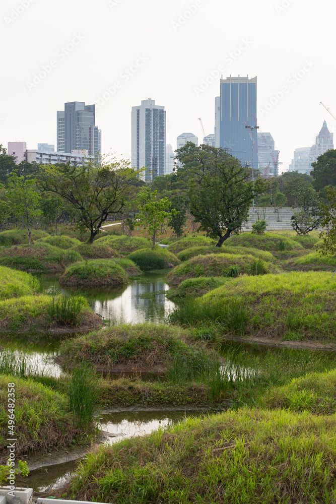 A new public park in Bangkok was built as a pond to support rainwater to prevent flooding. and has arranged a beautiful lanscape for recreation A new public park in Bangkok was built as a pond to support rainwater to prevent flooding. and has arranged a beautiful lanscape for recreation
