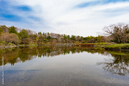 日本庭園と池